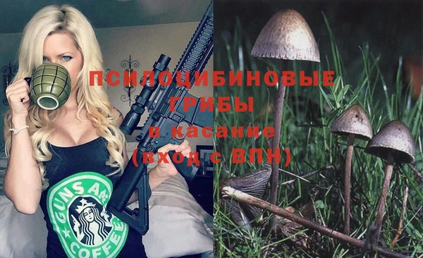 a pvp Нея