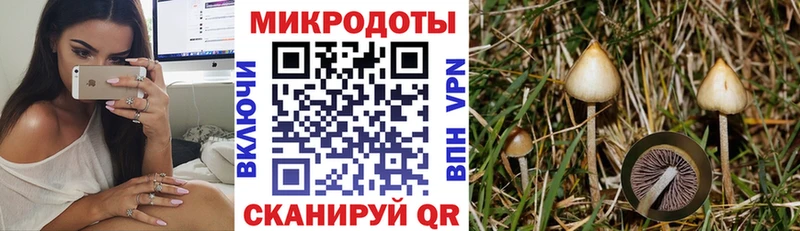 Галлюциногенные грибы MAGIC MUSHROOMS  Кедровый 