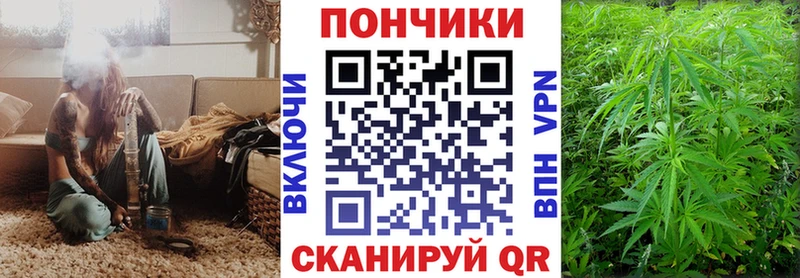 Конопля семена  Кедровый 